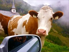 „Seid ihr auch wieder im Land ?“