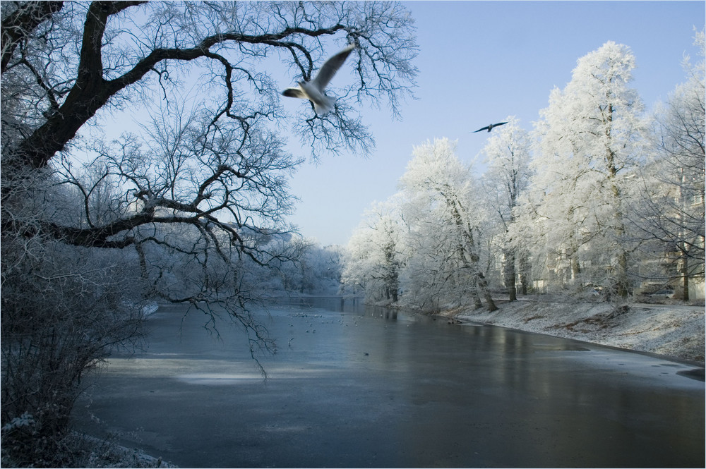 Seid ihr schon in Weihnachtsstimmung?