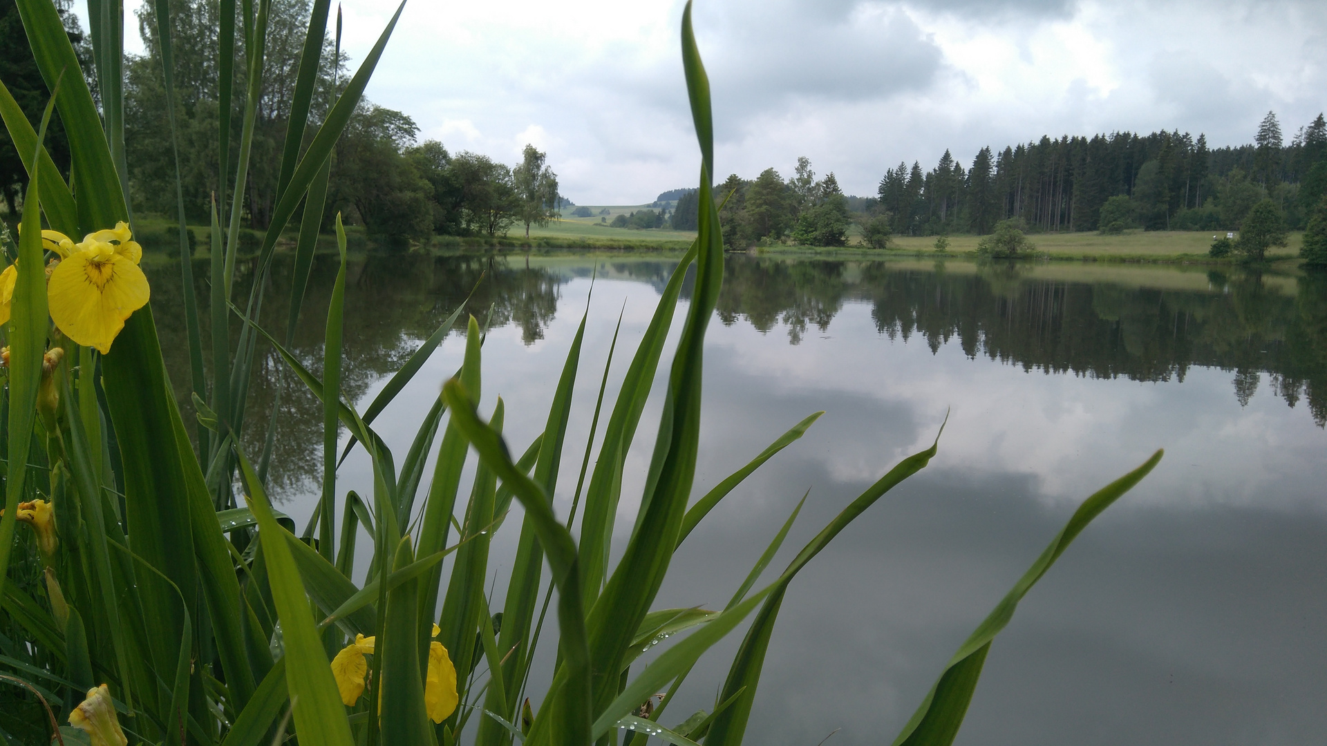 Seifenbach-Teich in Franken