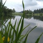 Seifenbach-Teich in Franken