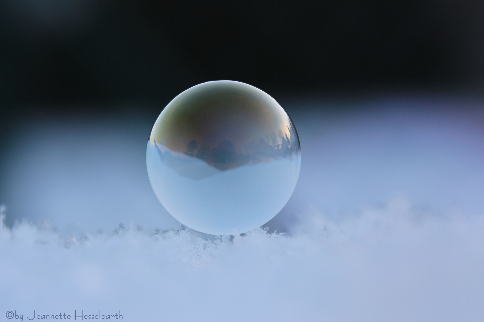 Seifenblase Foto & Bild experimente, wasser, spezial Bilder auf