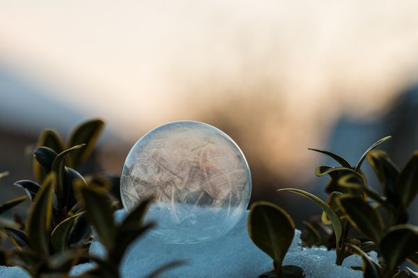 Seifenblase am Abend