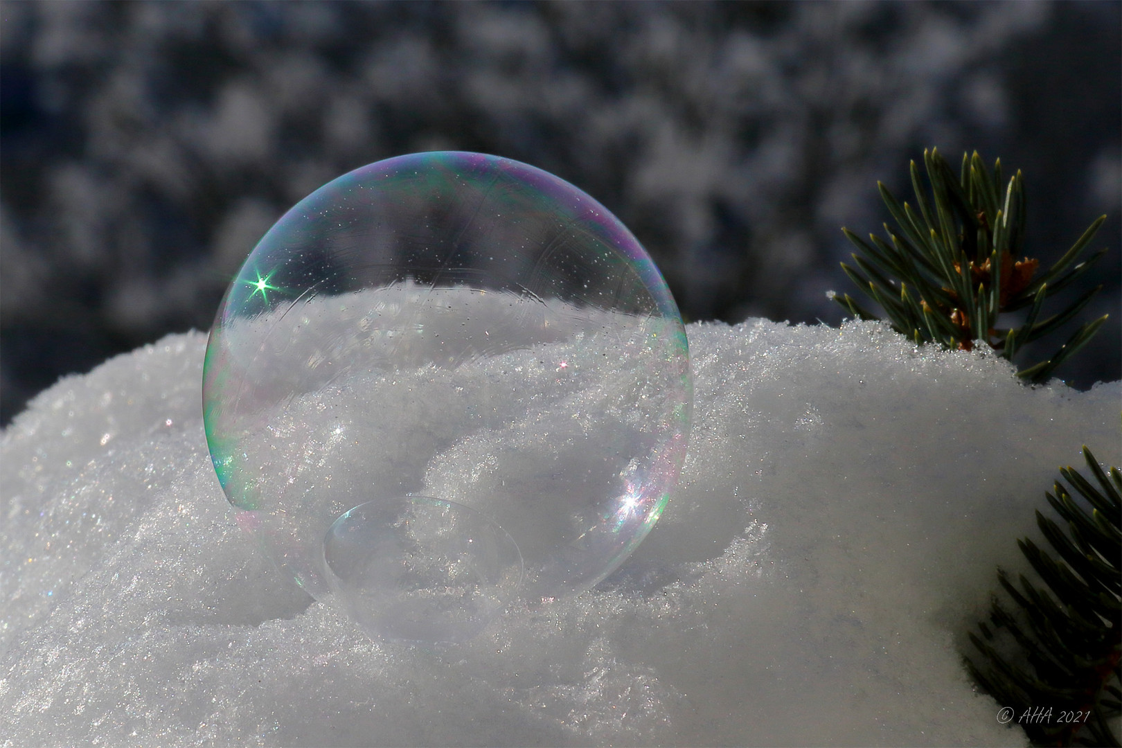 Seifenblase im Schnee