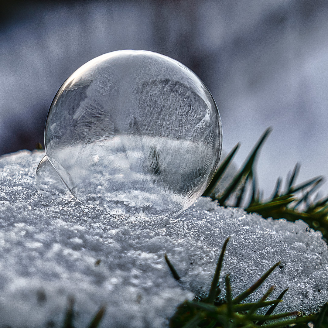 Seifenblase im Winter