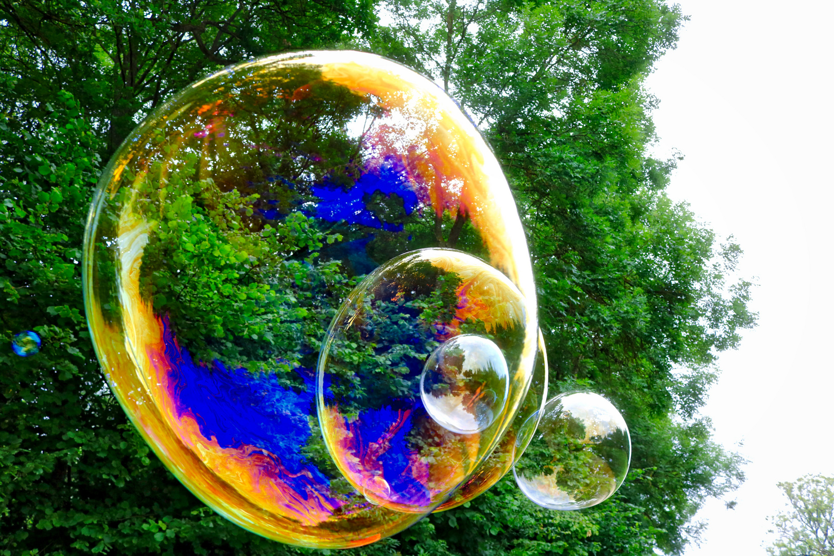 Bild mit Seifenblasen: Capture the Ethereal Beauty of Bubbles