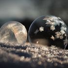 Seifenblasen - frozen bubbles