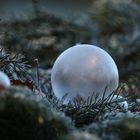 Seifenblasen Kugel im Morgenlicht 