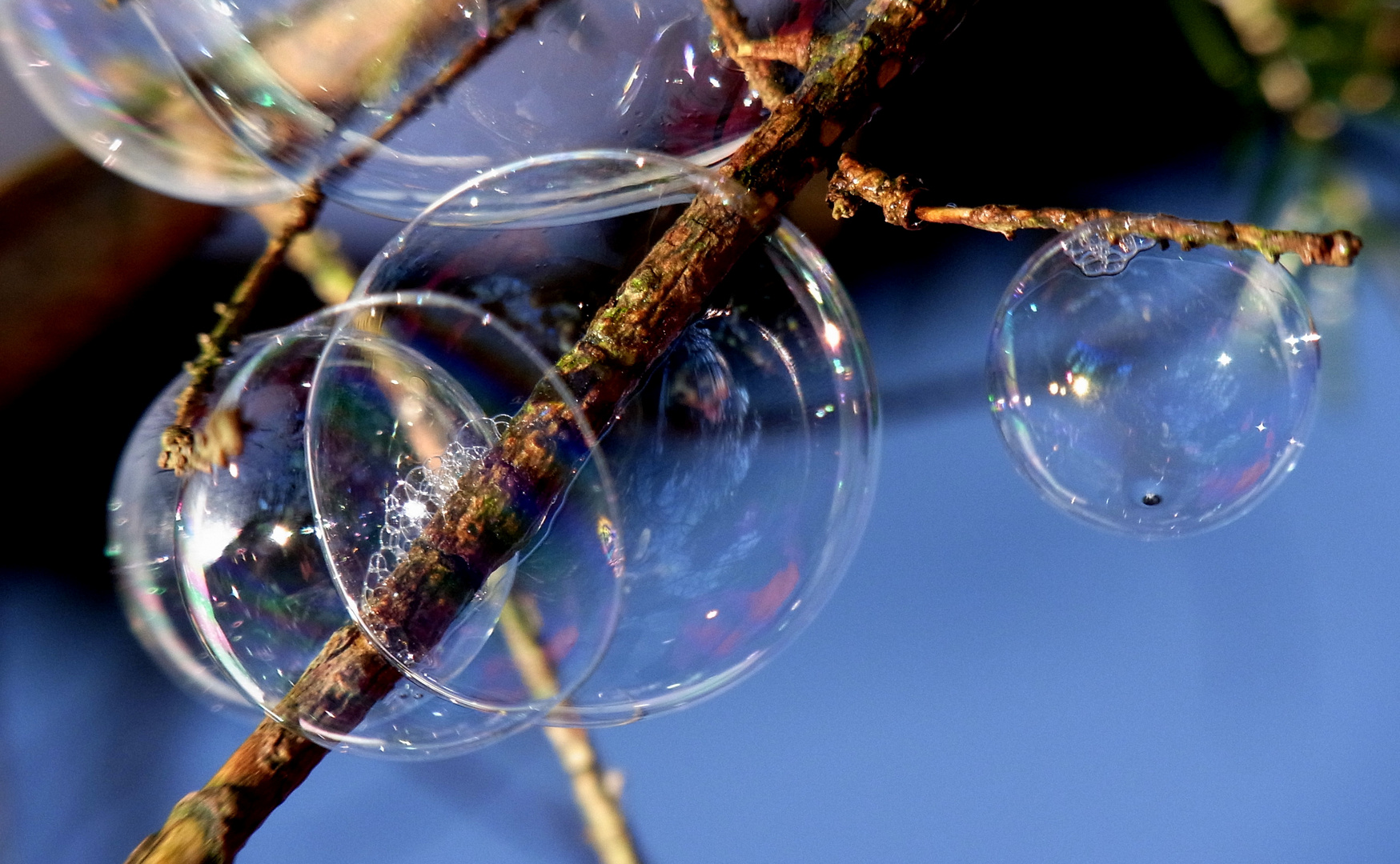 Seifenblasen vor dem Frost