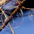 Seifenblasen vor dem Frost