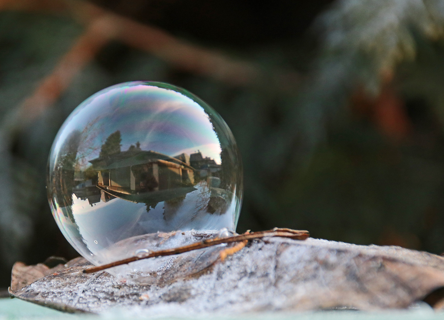 Seifenblasen vor dem Frost