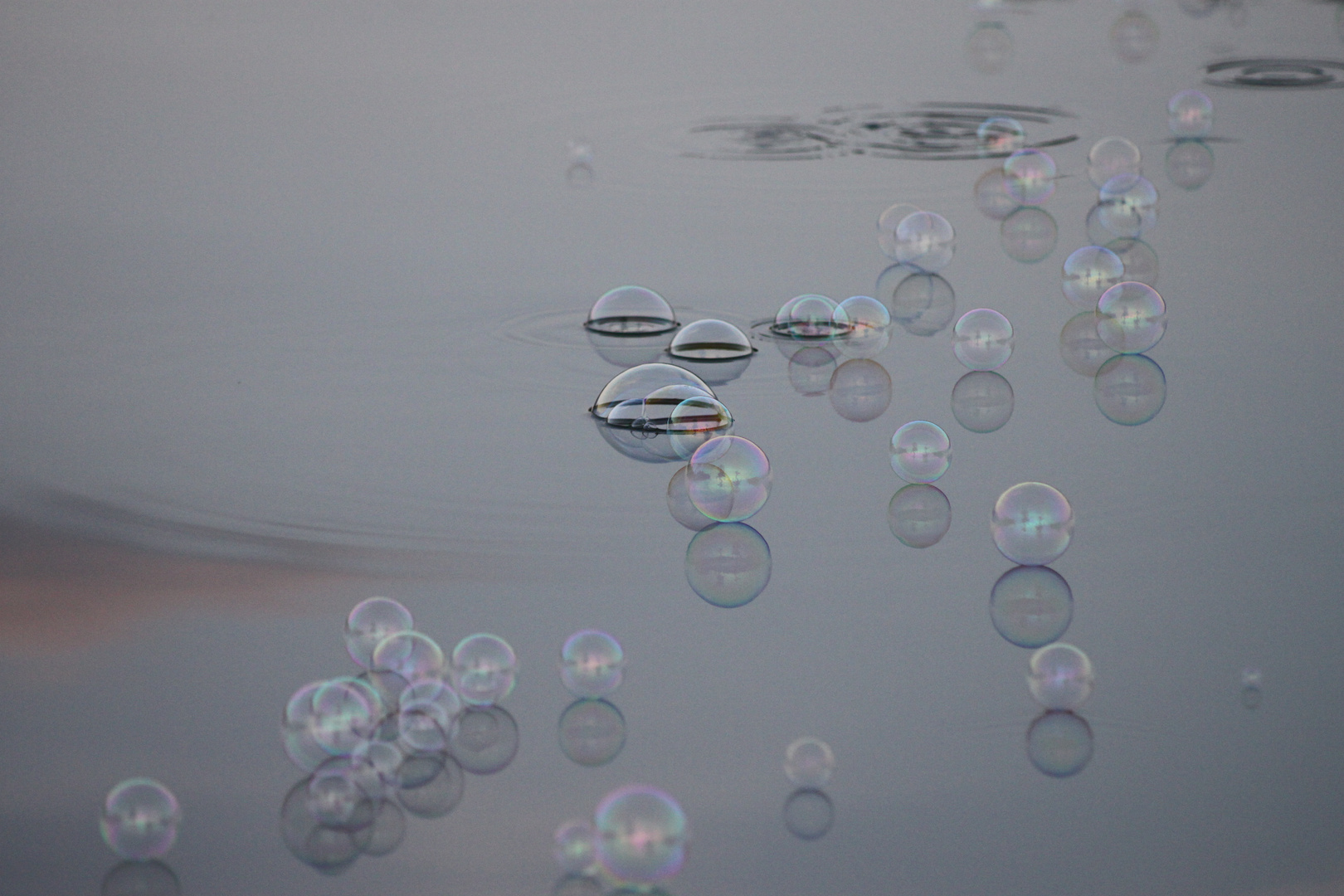 Seifenblasetanz auf dem wasser