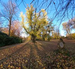 Seifersdorf Schlosspark (1)