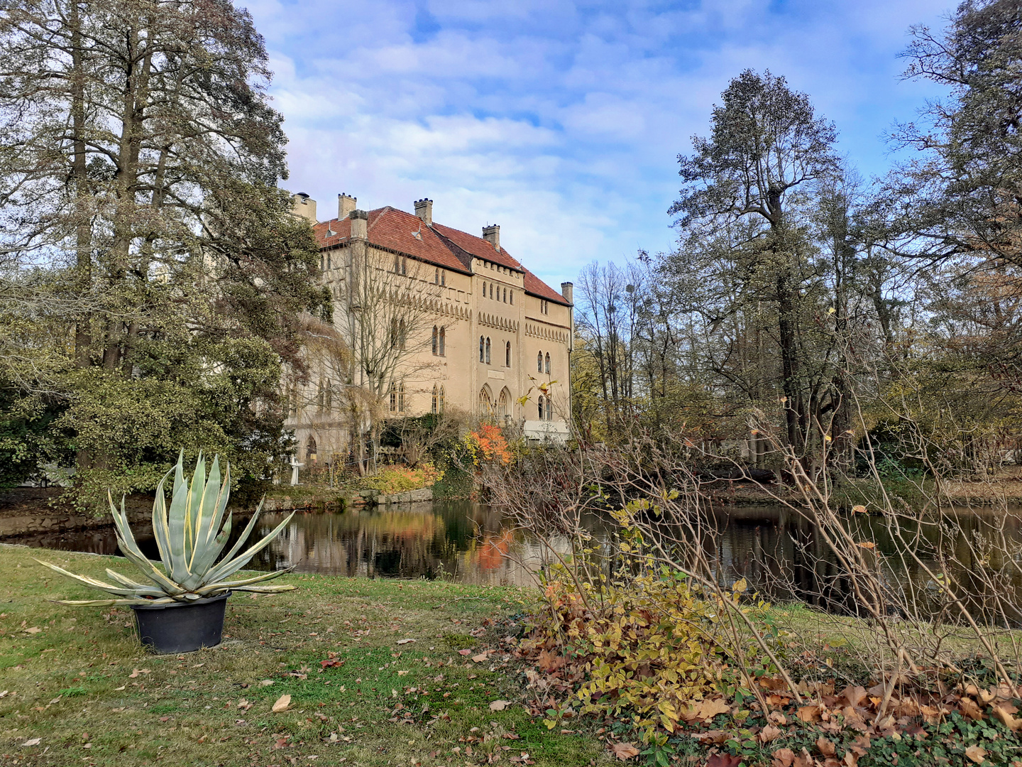 Seifersdorf Schlosspark (2)