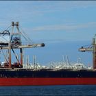 SEIKO, Bulk Carrier, Rotterdam.