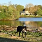 Seilersee Panorama  - Lina  -  in Gedanken bei ihr 