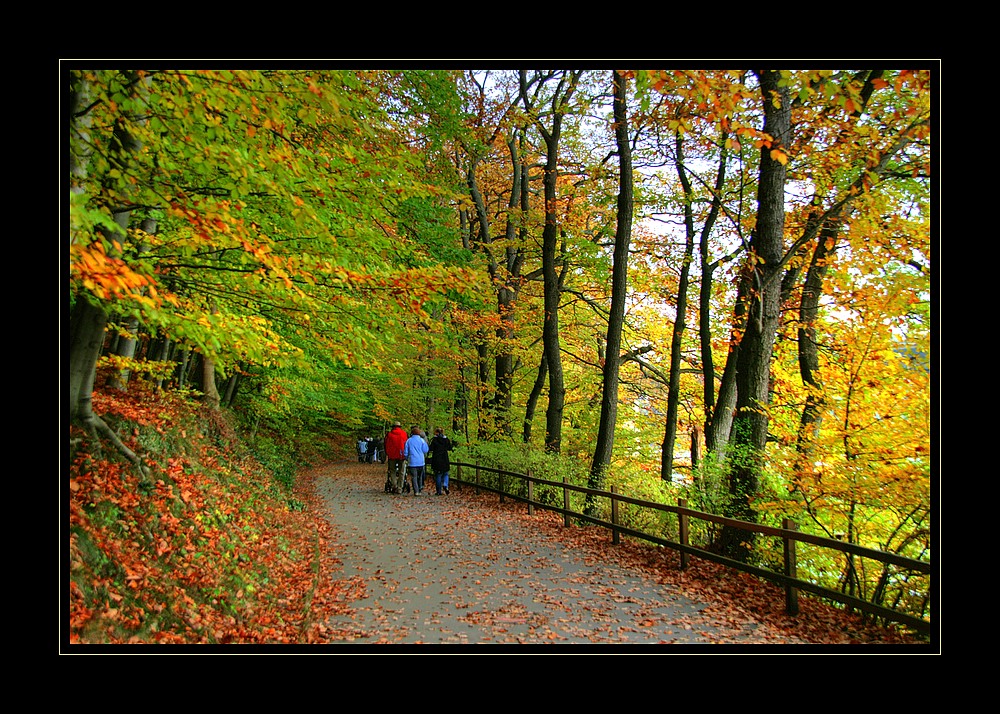 Seilerwald Iserlohn