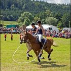 Seilspringen mit zwei Pferden und einem Seil