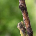 Sein allererster Augen-Blick