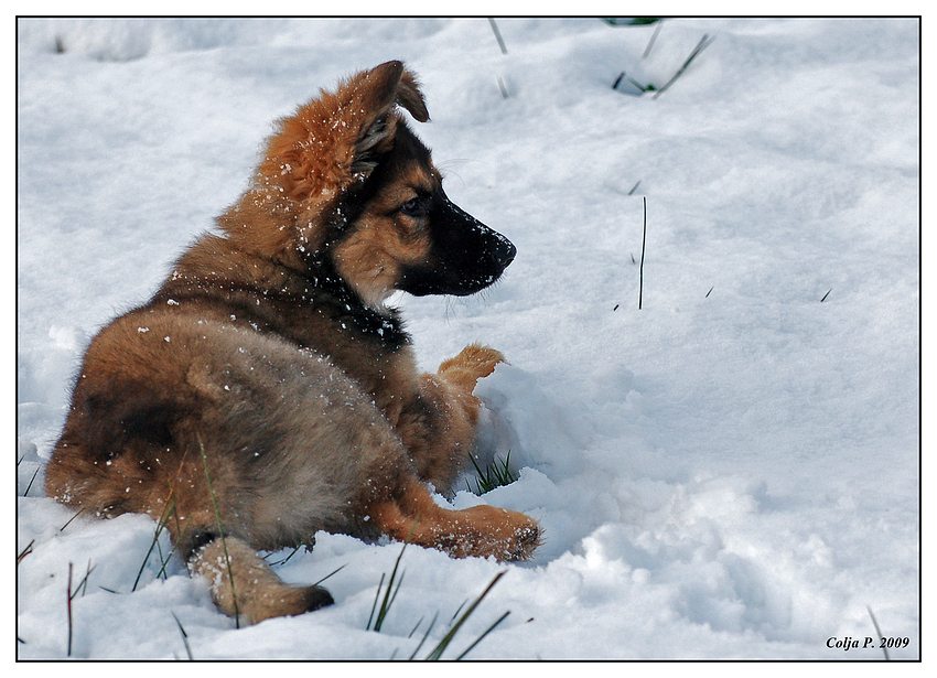 Sein erster Schnee