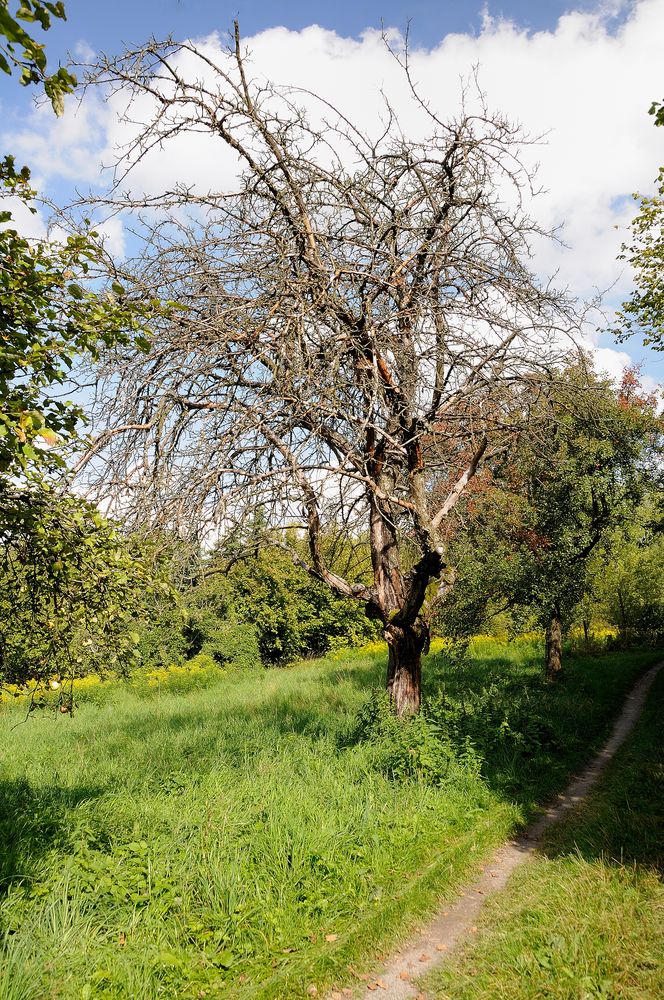 sein Leben ausgehaucht