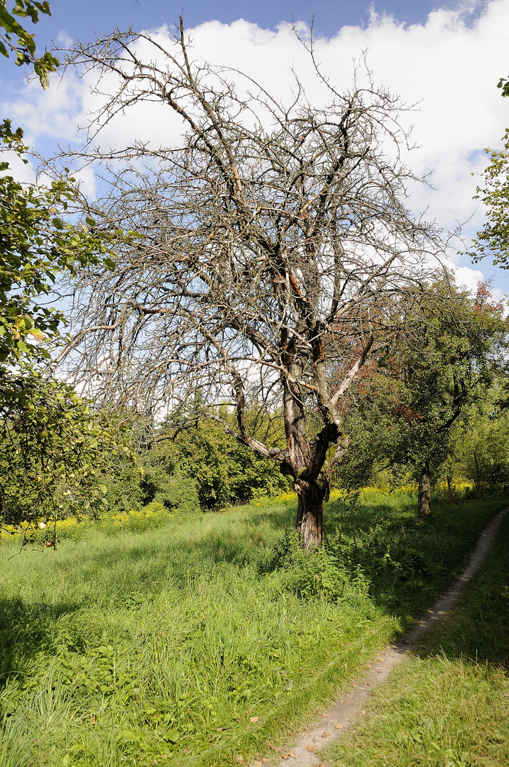 sein Leben ausgehaucht