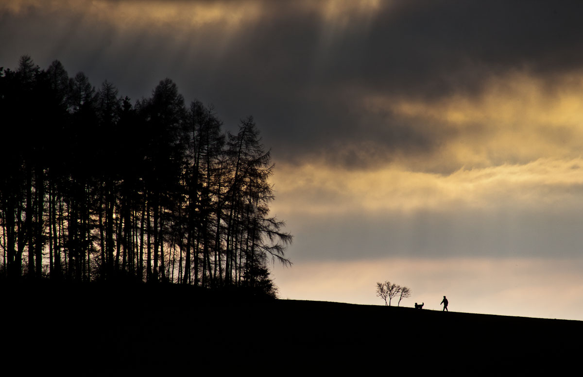 sein letzter Spaziergang