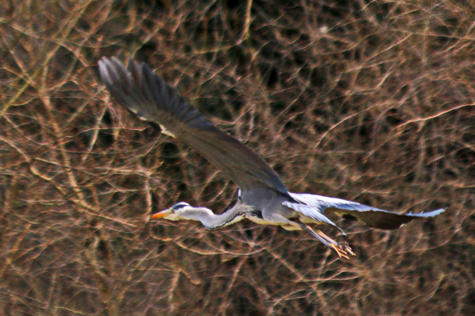 sein Ostermontagsausflug (3)