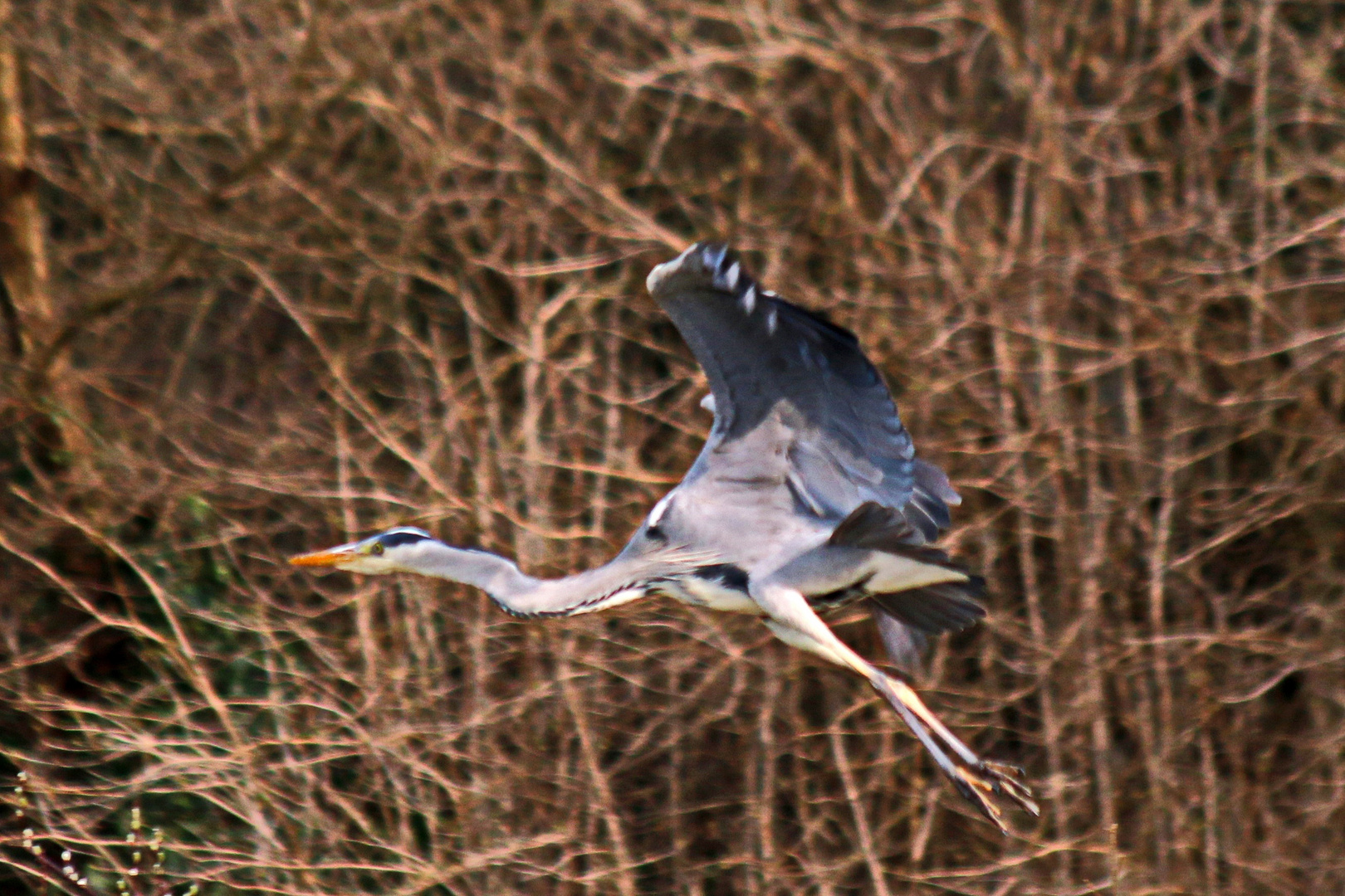 sein Ostermontagsausflug (4)