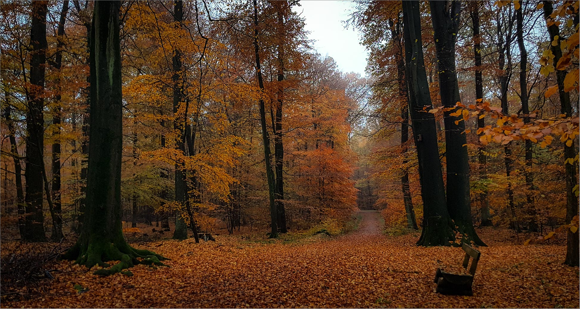 Sein schönstes "Kleid"   . . .