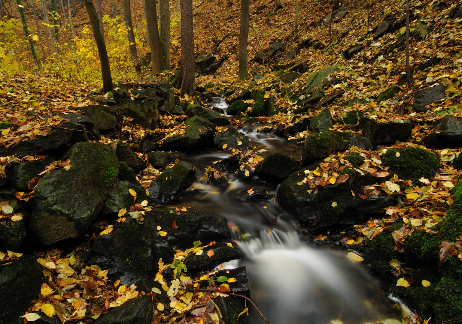 Sein schroffer Weg durch goldene Täler