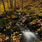 Sein schroffer Weg durch goldene Täler