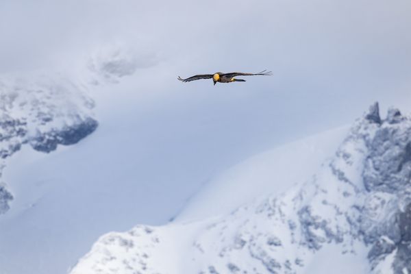 "Sein Zuhause.........."