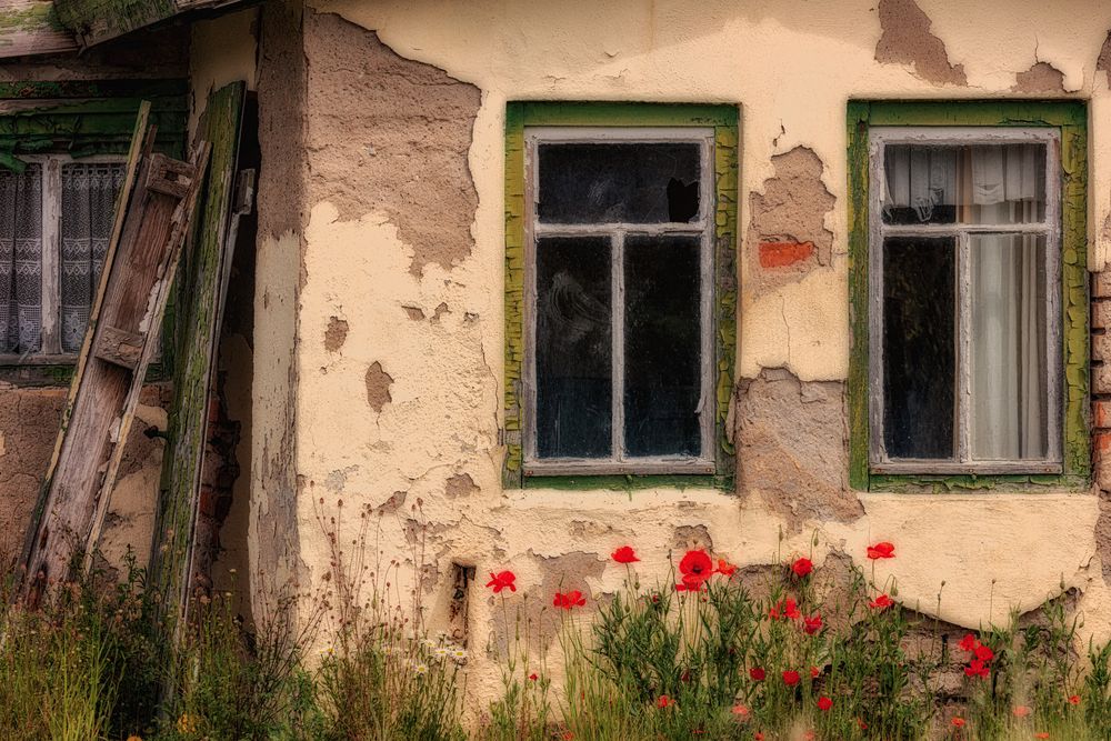 Seine Blumen aber