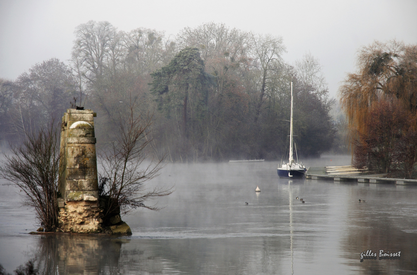 Seine de brume