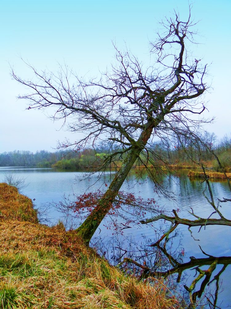 Seine et marne