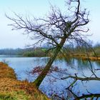 Seine et marne