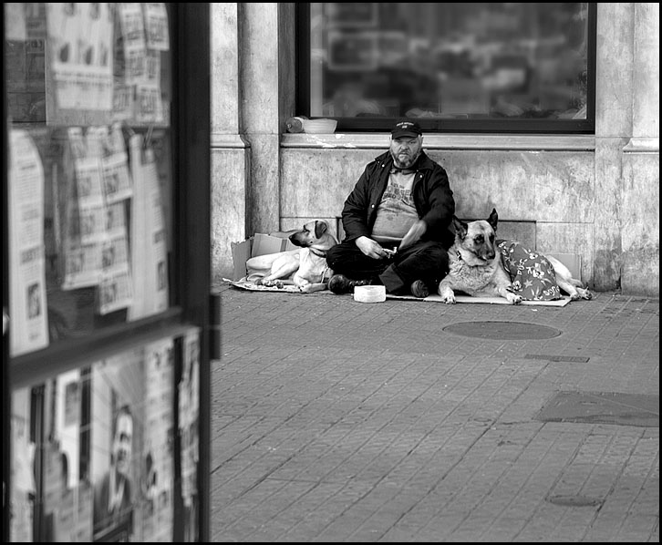 Seine Hunde ....