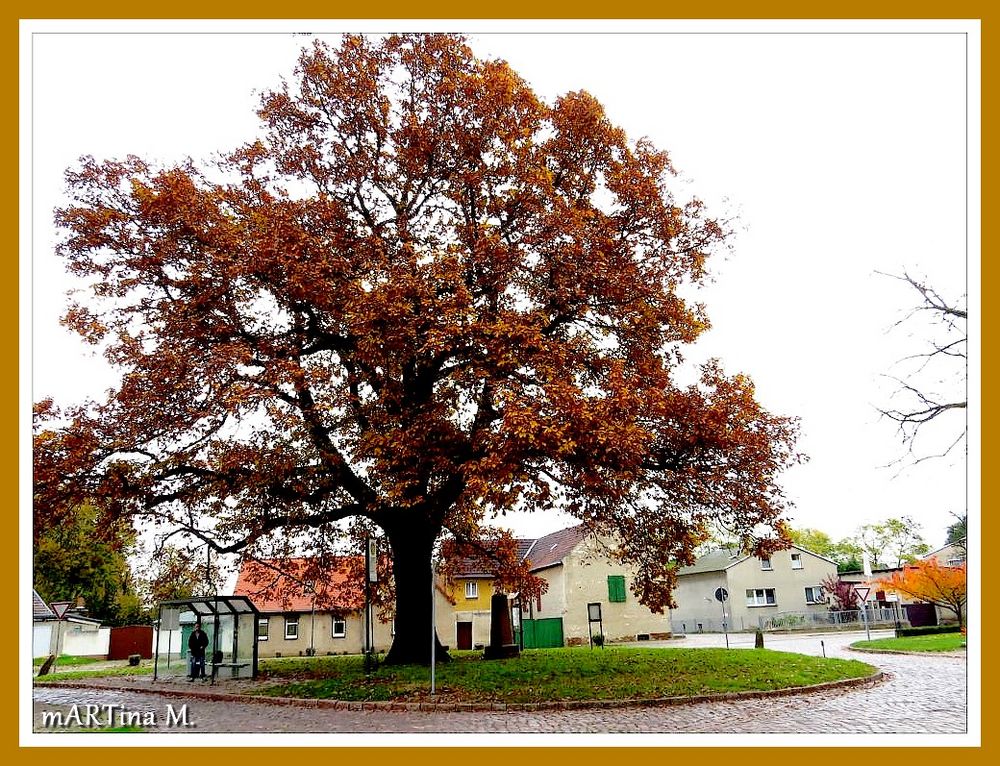 Seine Majestät - der Baum (mit Gedicht)