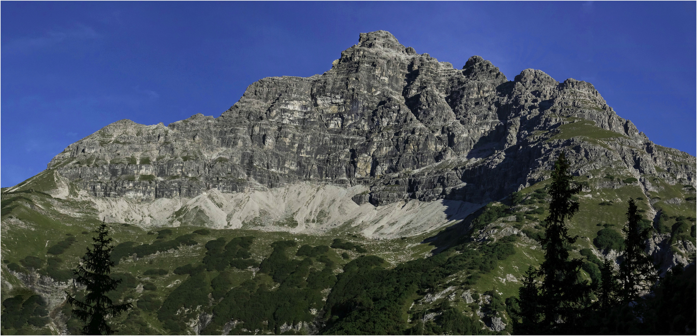 Seine Majestät „Hochvogel“