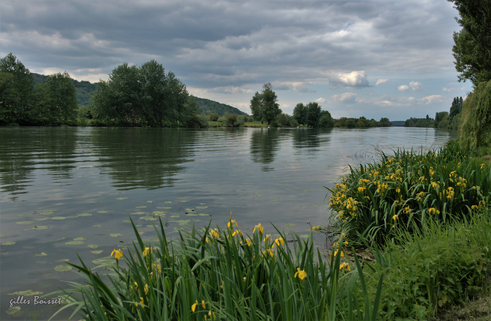 Seine normande