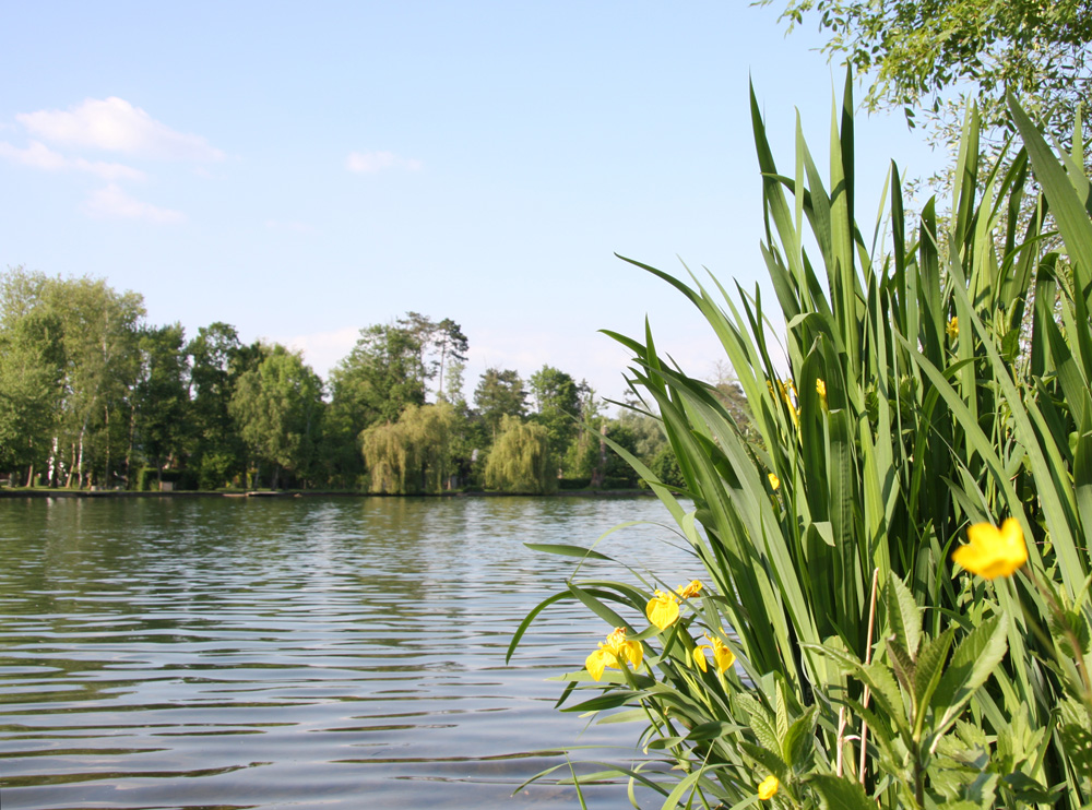 Seine sereine