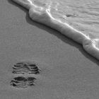 Seine Spuren im Sand...