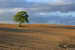 Seiner Familie beraubt