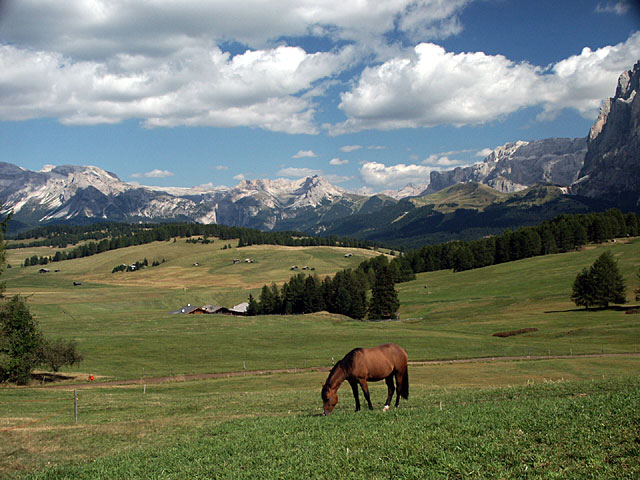 Seiser-Alm