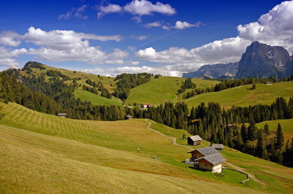 Seiser Alm - Alpe di Siusi 