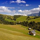 Seiser Alm - Alpe di Siusi 