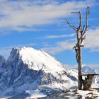 Seiser Alm, auf dem Weg zum Puflatsch...