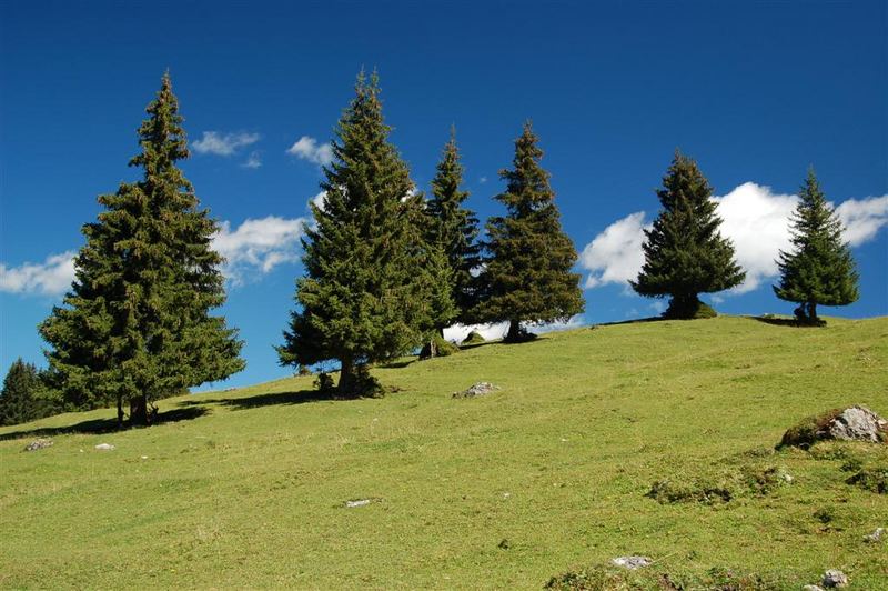 Seiser Alm, August 2006