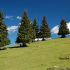 Seiser Alm, August 2006