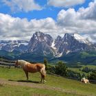 Seiser Alm - Blick zu Langkofel und Plattkofel